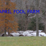 Fall 2014 first dusting of snow