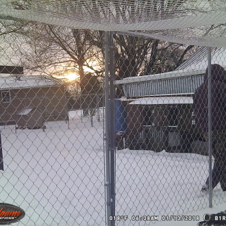 Some New and Exciting Pictures off the Outdoor Camera. :)